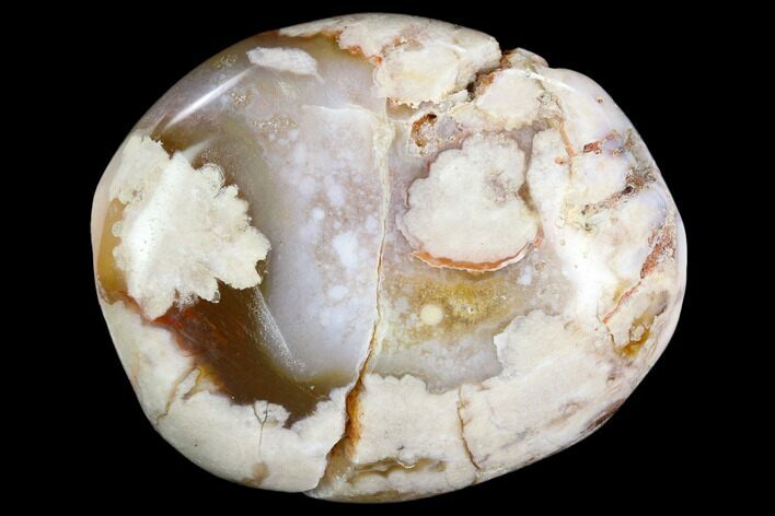 Polished Flower Agate Palm Stone - Madagascar #122856